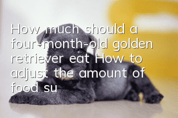How much should a four-month-old golden retriever eat? How to adjust the amount of food suitable for the dog as needed?