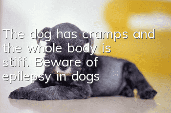 The dog has cramps and the whole body is stiff. Beware of epilepsy in dogs!
