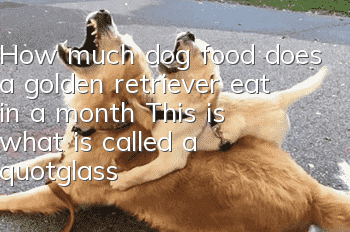 How much dog food does a golden retriever eat in a month? This is what is called a "glass stomach"!
