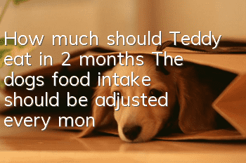How much should Teddy eat in 2 months? The dog’s food intake should be adjusted every month