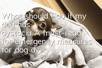 What should I do if my dog has dystocia? A must-read for emergency measures for dog dystocia!