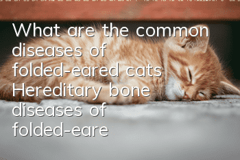 What are the common diseases of folded-eared cats? Hereditary bone diseases of folded-eared cats!