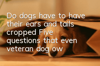 Do dogs have to have their ears and tails cropped? Five questions that even veteran dog owners may not know