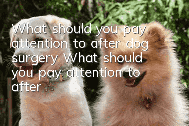 What should you pay attention to after dog surgery? What should you pay attention to after dog surgery?