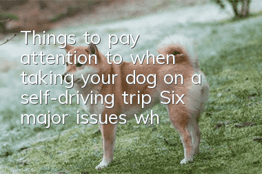 Things to pay attention to when taking your dog on a self-driving trip Six major issues when taking your dog on a holiday trip