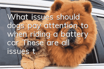 What issues should dogs pay attention to when riding a battery car? These are all issues that need to be considered!