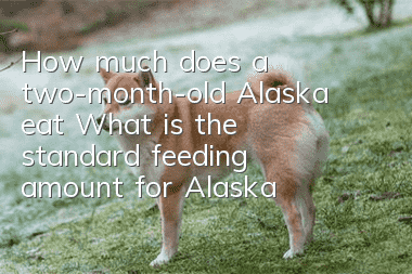 How much does a two-month-old Alaska eat? What is the standard feeding amount for Alaska?