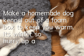 Make a homemade dog kennel out of a foam box to keep you warm. It’s winter, so hurry up and make one for your dog!
