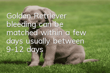 Golden Retriever bleeding can be matched within a few days, usually between 9-12 days!