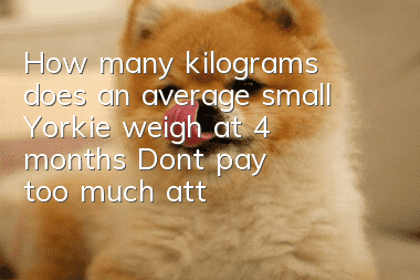 How many kilograms does an average small Yorkie weigh at 4 months? Don’t pay too much attention to the standard data