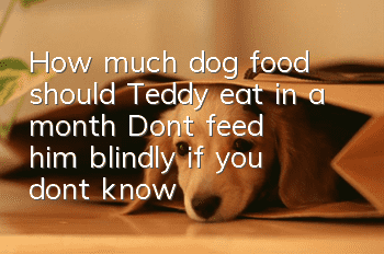 How much dog food should Teddy eat in a month? Don’t feed him blindly if you don’t know!