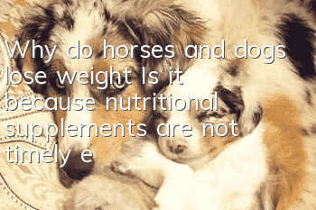 Why do horses and dogs lose weight? Is it because nutritional supplements are not timely enough?