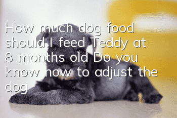 How much dog food should I feed Teddy at 8 months old? Do you know how to adjust the dog’s food intake?