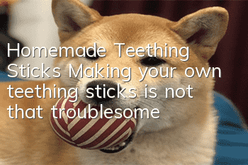 Homemade Teething Sticks Making your own teething sticks is not that troublesome!