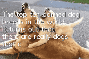 The top ten banned dog breeds in the world. It turns out that there are really dogs that can eat people!