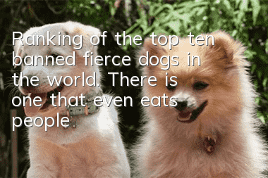 Ranking of the top ten banned fierce dogs in the world. There is one that even eats people!