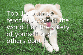 Top 10 banned ferocious dogs in the world. For the safety of yourself and others, don’t keep any more!