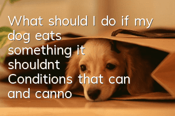 What should I do if my dog eats something it shouldn’t? Conditions that can and cannot induce vomiting