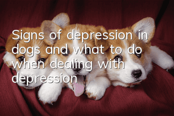 Signs of depression in dogs and what to do when dealing with depression