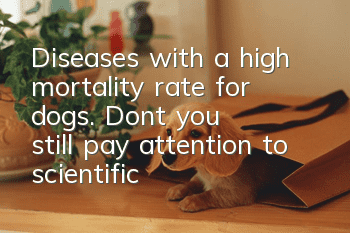 Diseases with a high mortality rate for dogs. Don’t you still pay attention to scientific feeding?