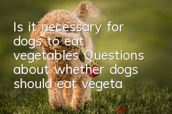 Is it necessary for dogs to eat vegetables? Questions about whether dogs should eat vegetables?