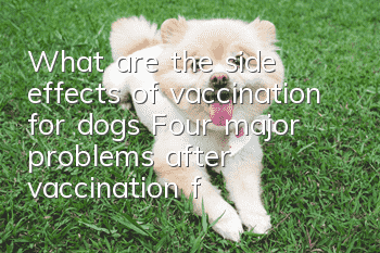 What are the side effects of vaccination for dogs? Four major problems after vaccination for pet dogs