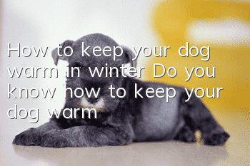 How to keep your dog warm in winter Do you know how to keep your dog warm?