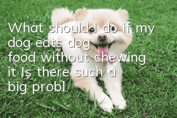 What should I do if my dog eats dog food without chewing it? Is there such a big problem with dog food pellets?