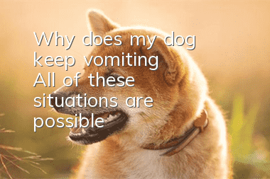 Why does my dog keep vomiting? All of these situations are possible!
