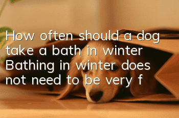How often should a dog take a bath in winter? Bathing in winter does not need to be very frequent!
