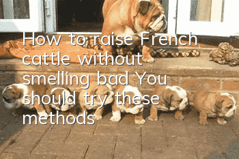 How to raise French cattle without smelling bad? You should try these methods!