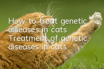 How to treat genetic diseases in cats? Treatment of genetic diseases in cats!