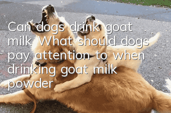 Can dogs drink goat milk? What should dogs pay attention to when drinking goat milk powder?