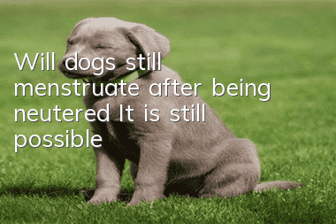 Will dogs still menstruate after being neutered? It is still possible!