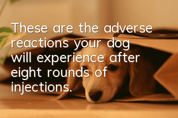 These are the adverse reactions your dog will experience after eight rounds of injections. These are worthy of your attention.