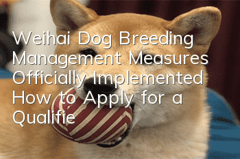 Weihai Dog Breeding Management Measures Officially Implemented How to Apply for a Qualified ID Card for a Dog