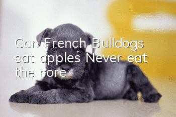 Can French Bulldogs eat apples? Never eat the core!