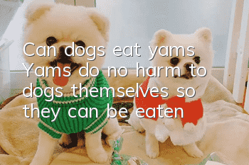 Can dogs eat yams? Yams do no harm to dogs themselves, so they can be eaten!