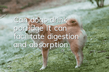 Can dogs drink porridge? It can facilitate digestion and absorption!