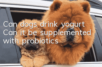 Can dogs drink yogurt? Can it be supplemented with probiotics?