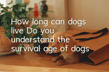 How long can dogs live? Do you understand the survival age of dogs?