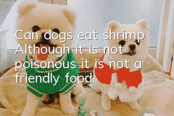 Can dogs eat shrimp? Although it is not poisonous, it is not a friendly food.