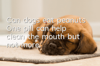 Can dogs eat peanuts? One pill can help clean the mouth, but not more.