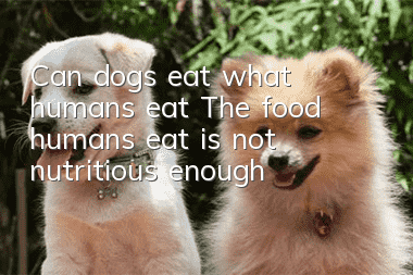 Can dogs eat what humans eat? The food humans eat is not nutritious enough!