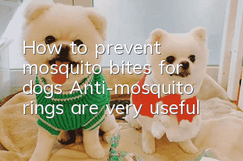 How to prevent mosquito bites for dogs? Anti-mosquito rings are very useful!