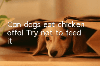 Can dogs eat chicken offal? Try not to feed it!