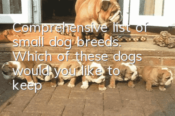 Comprehensive list of small dog breeds. Which of these dogs would you like to keep?