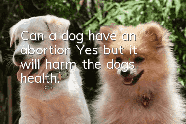 Can a dog have an abortion? Yes, but it will harm the dog’s health.