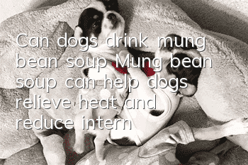 Can dogs drink mung bean soup? Mung bean soup can help dogs relieve heat and reduce internal heat.