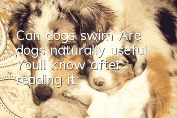 Can dogs swim? Are dogs naturally useful? You'll know after reading it